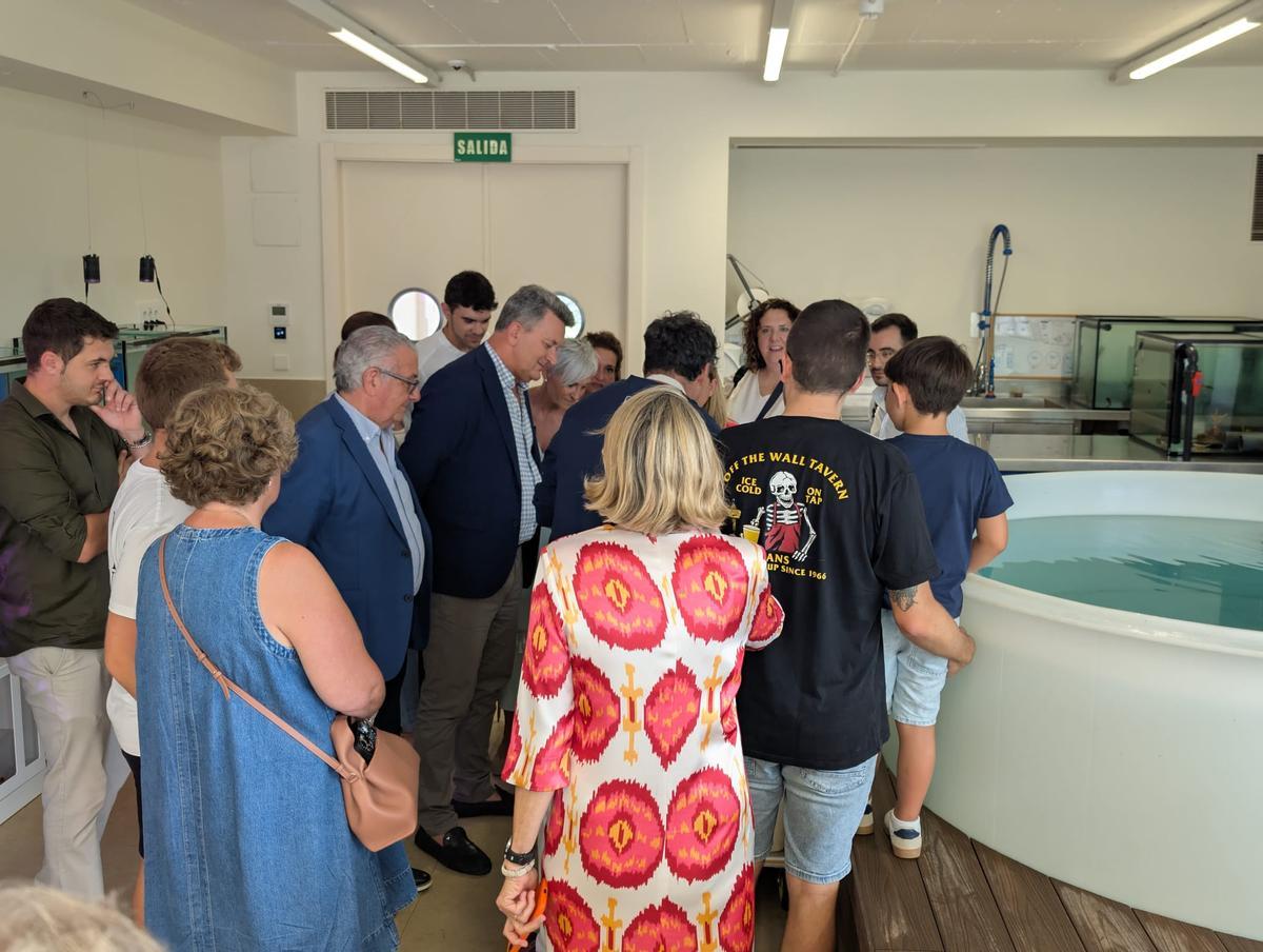 GALERÍA I La presentación de la nueva campaña para rescatar tortugas marinas, en imágenes