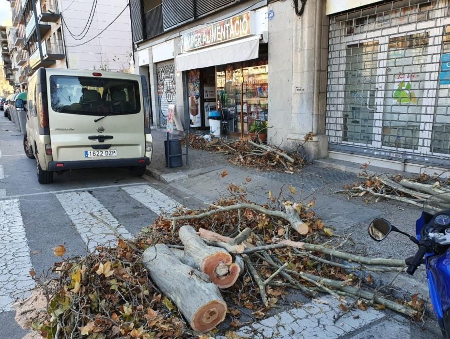 El vent provoca destrosses a les comarques gironines