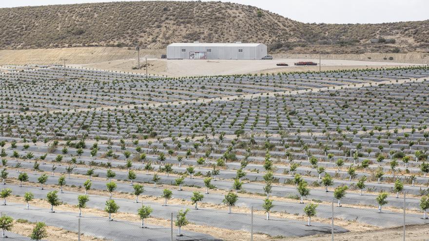 La Junta Central del Júcar-Vinalopó advierte de que es imposible dejar de extraer agua de los acuíferos sin el trasvase