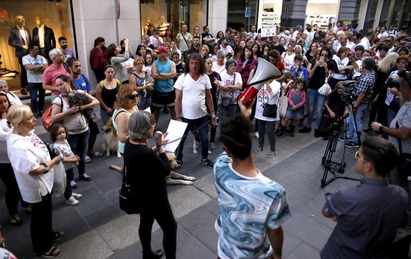 Concentración contra el maltrato animal