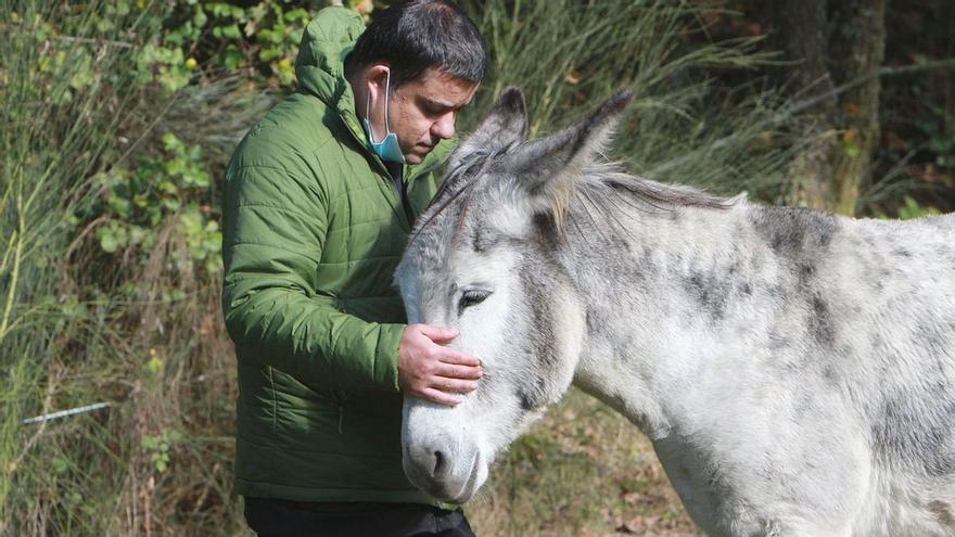 Terapia con asnos: dinamitar prejuicios con caricias