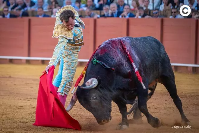 Toros en la Maestranza: las imágenes del decimoquinto festejo de la Feria de Abril 2026