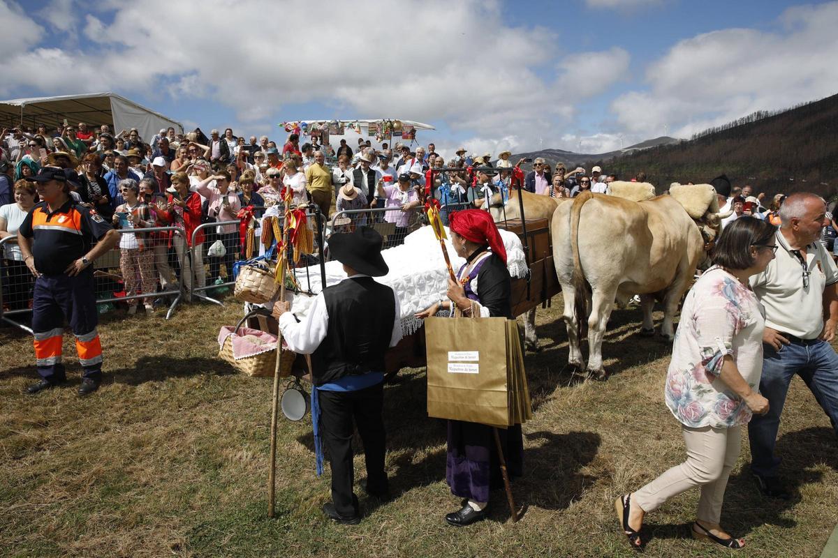 En imágenes: Así es la boda vaqueira que cada último domingo de julio llena la braña de Aristébano