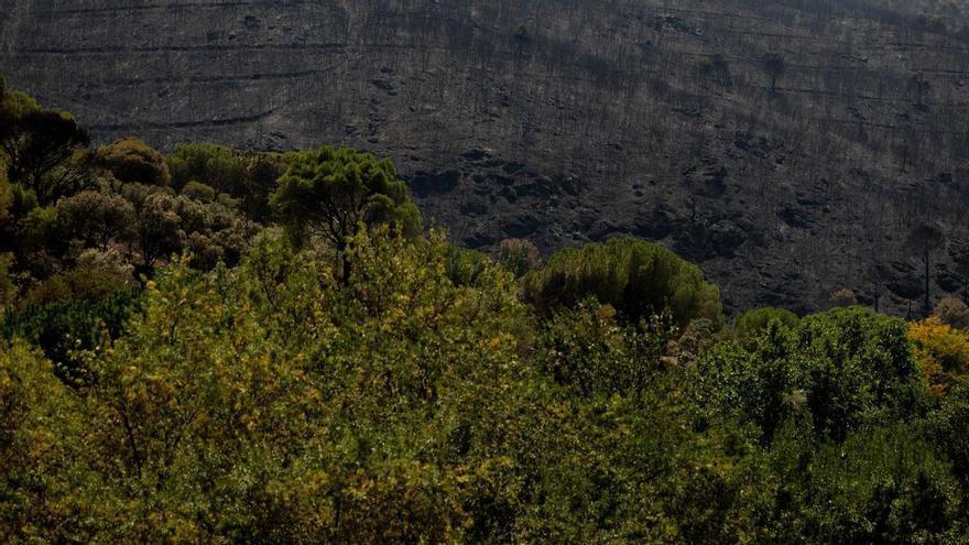 Los bomberos luchan contra una reactivación del incendio en el Embalse de San Juan