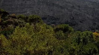 Los bomberos luchan contra una reactivación del incendio en el Embalse de San Juan