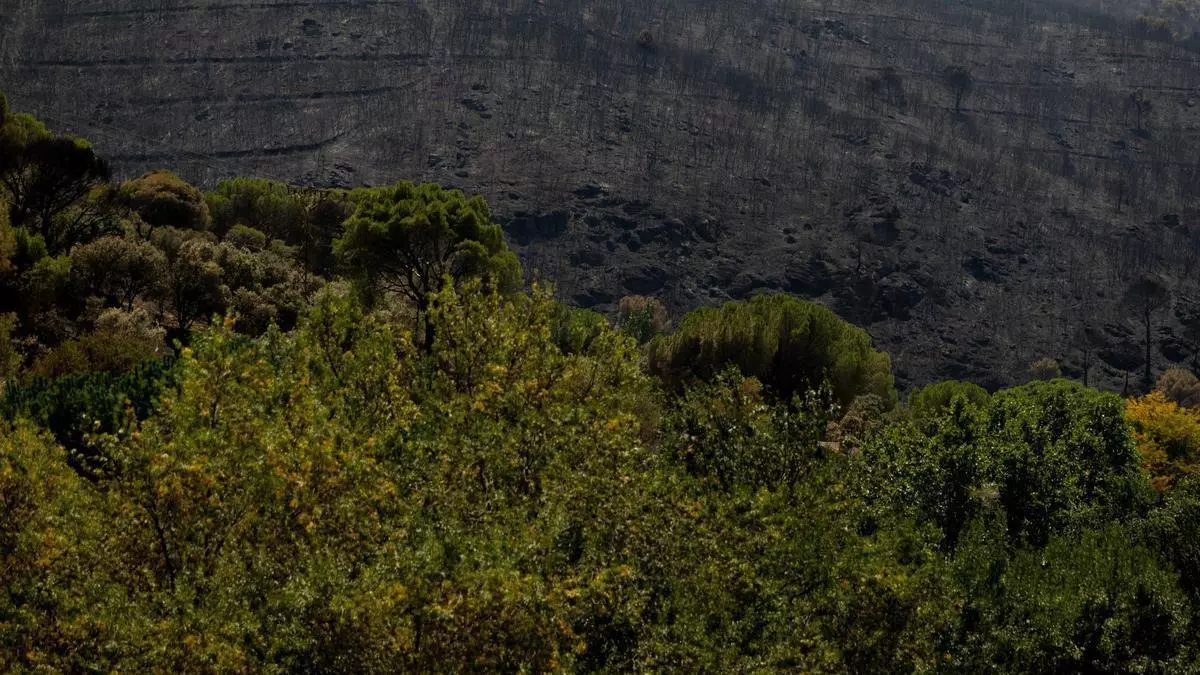 Los bomberos luchan contra una reactivación del incendio en el Embalse de San Juan