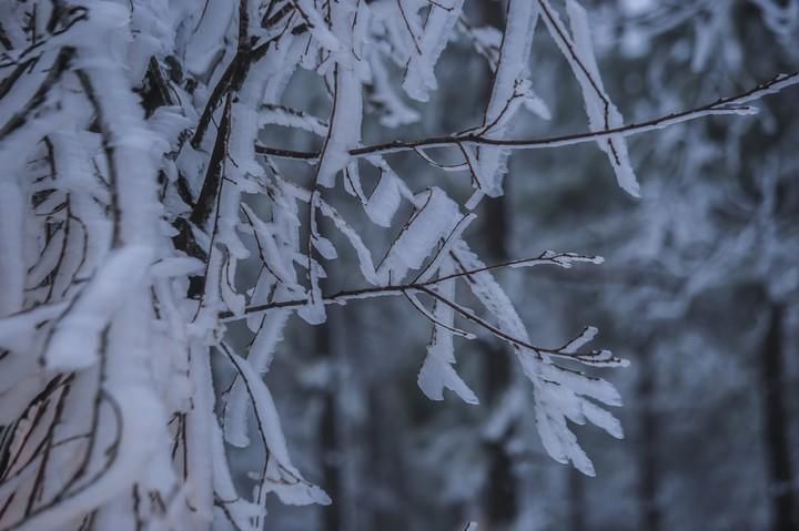 NIEVE EN LA CUMBRE