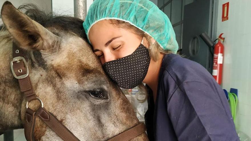 Una de las creadoras del proyecto, Paola Monagas, curando a un caballo.