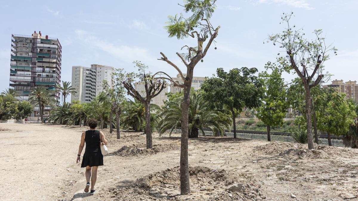 Una mujer pasea bajo los árboles recién colocados en el parque Sergio Melgares