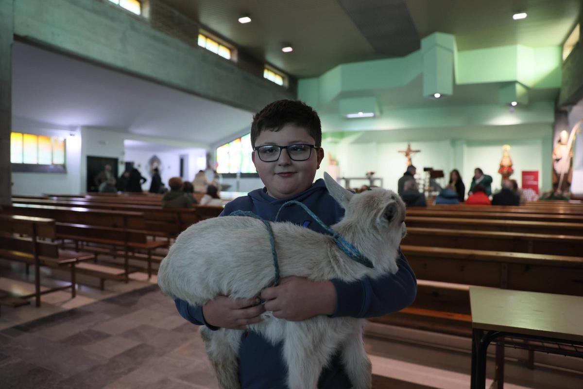 La bendición de animales en La Magdalena, en imágenes