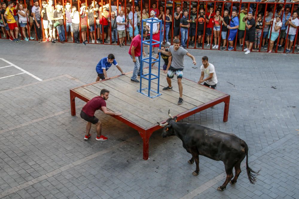 Fiestas de la Vaca de Castalla.