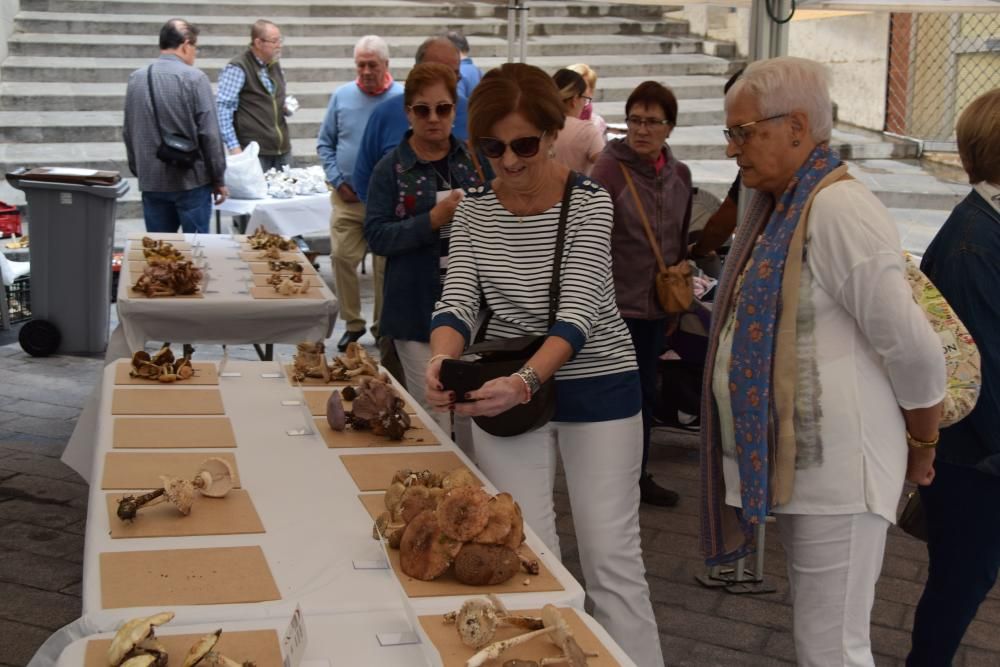 El Concurs de Tapes de la Berga Bolet omple el centre de la ciutat