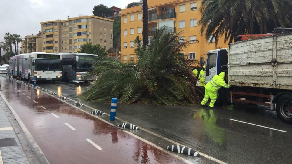 La capital de la Costa del Sol amanece bajo las nubes y con una previsión de lluvias intensas que se quedarán hasta la próxima semana