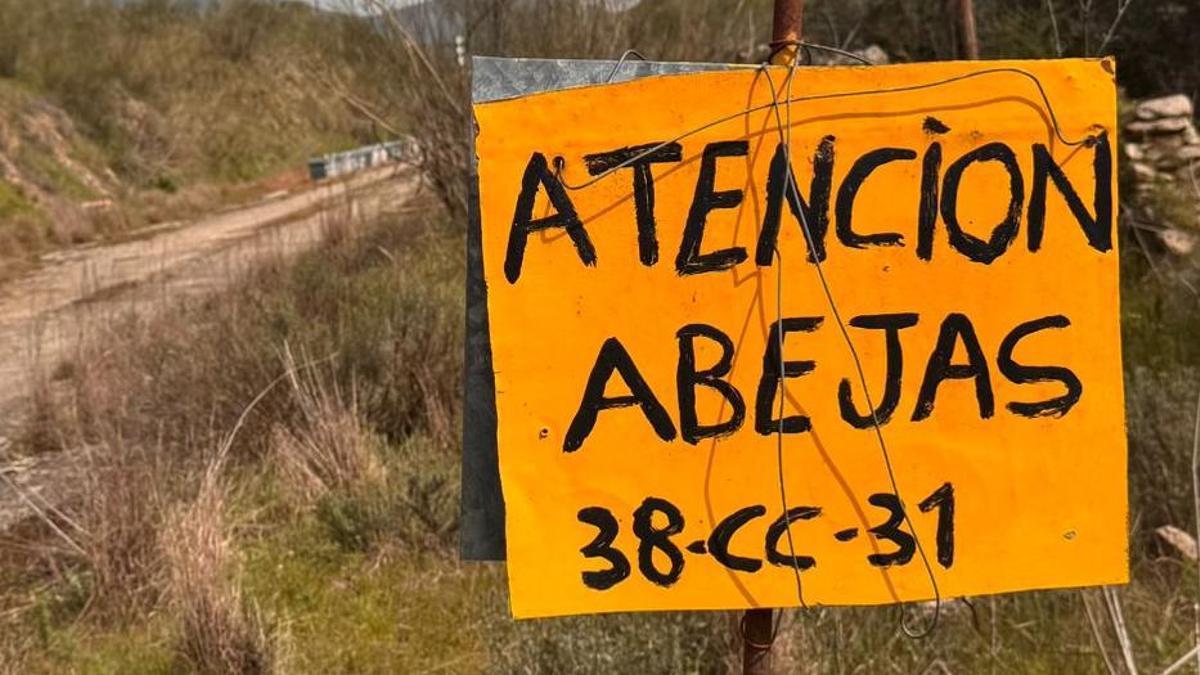 Vídeo | Los apicultores alertan de una situación ‘catastrófica’ tras dos meses de lluvias