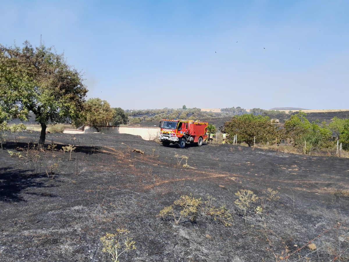 Bomberos de la Diputación de Cáceres han intervenido en la extinción.