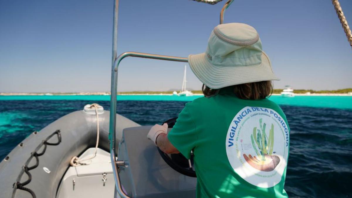 Colaboran con la plataforma Observadores del Mar.