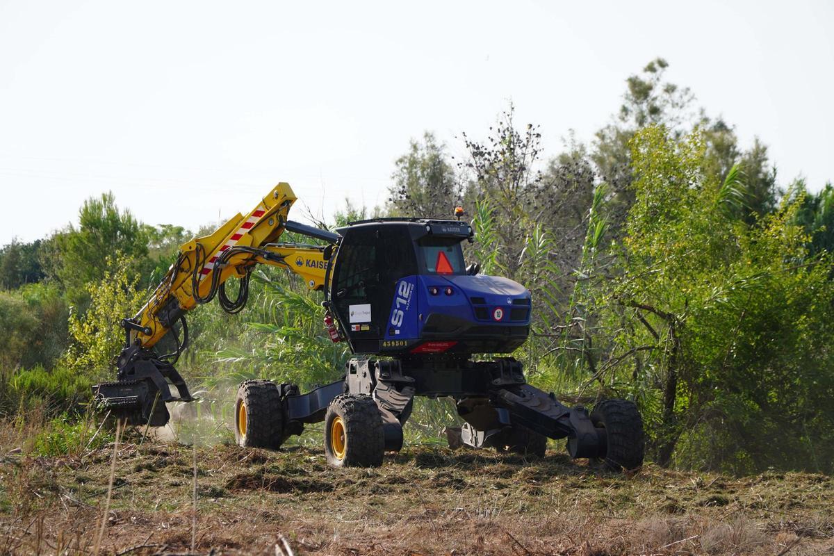 Una máquina elimina las cañas del cauce.