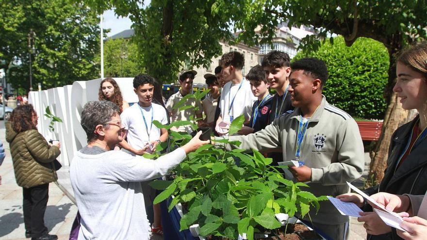 El colegio San José reparte 200 castaños autóctonos como símbolo de paz y respeto medioambiental