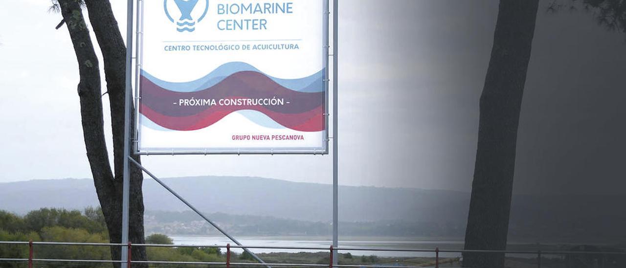 Ubicación del futuro Pescanova Biomarine Center, en O Grove. // FdV