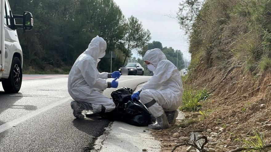 Agents rurals treballant al parc de Collserola.