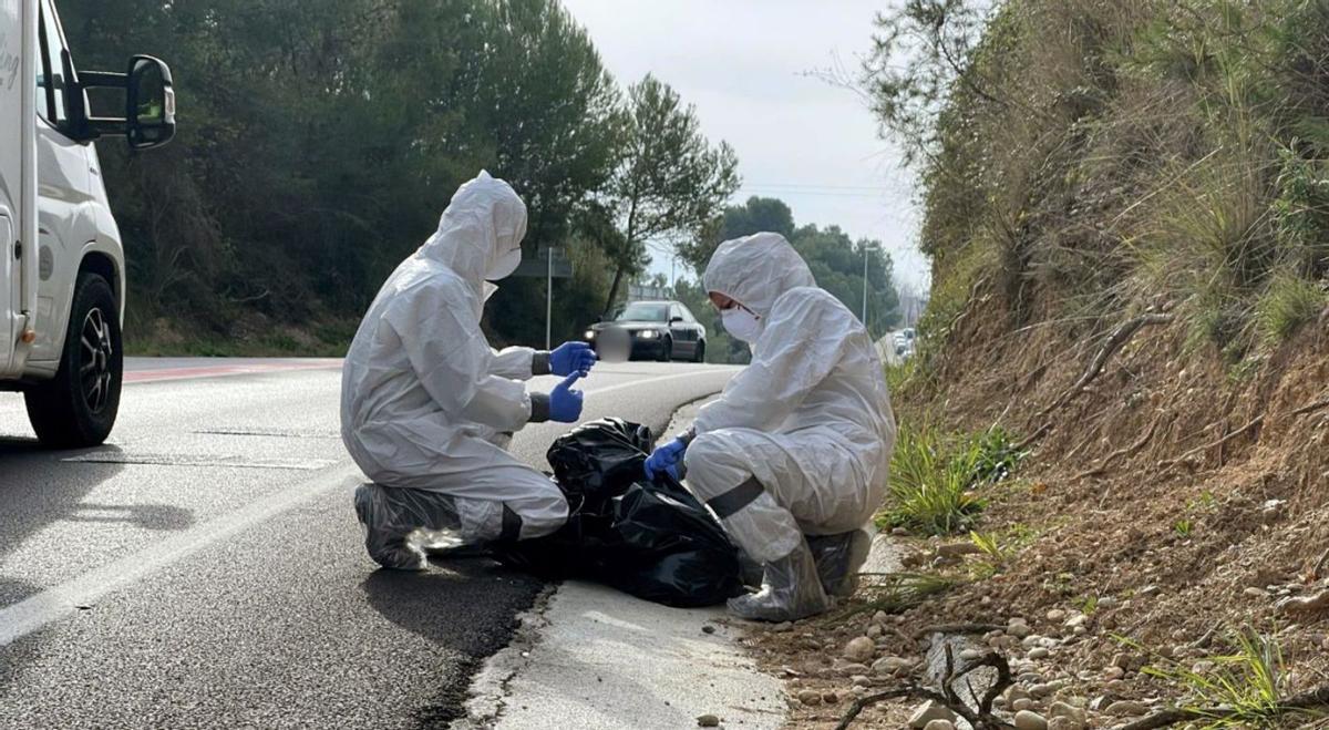 L’UME es desplega a Collserola per la pesta porcina