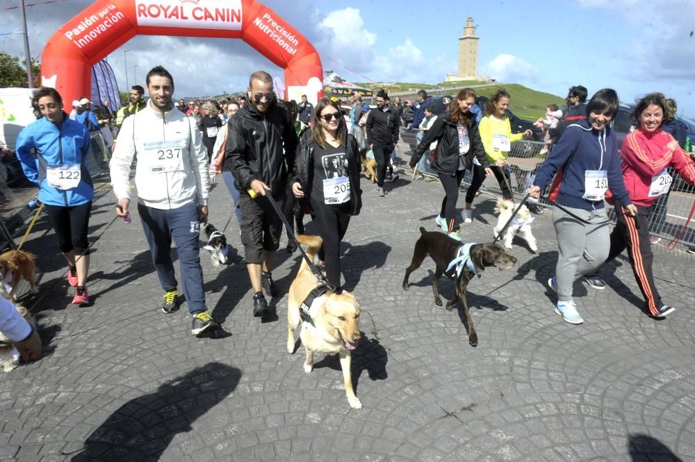 Correcán Solidario en la zona de la Torre