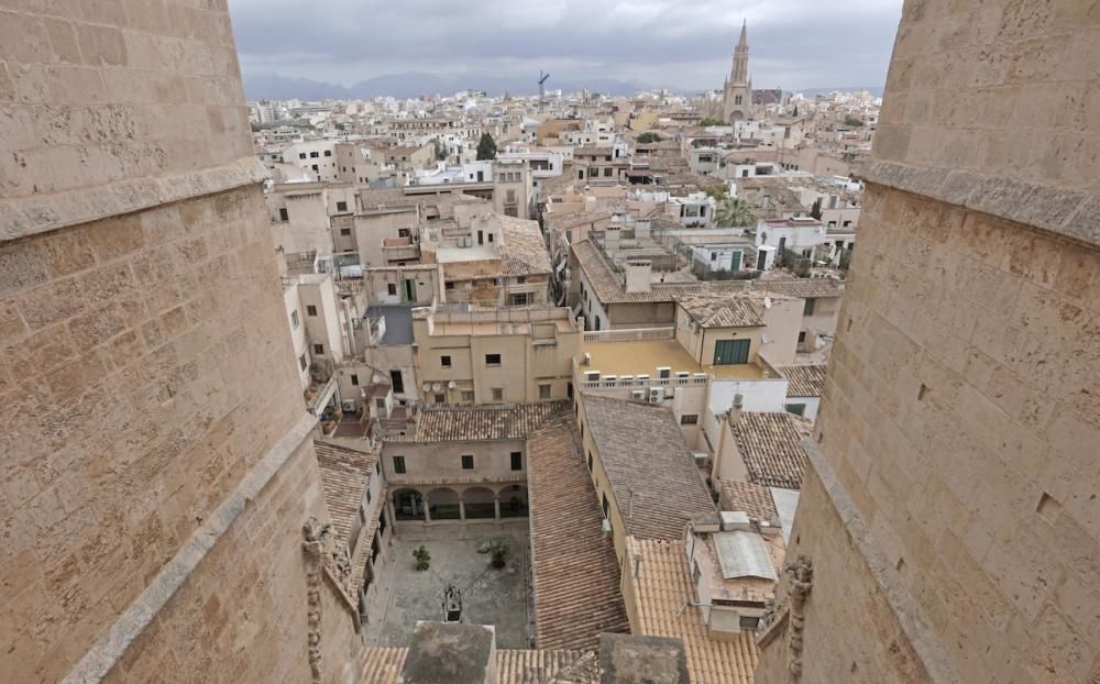 Visita guiada a las terrazas de la Seu