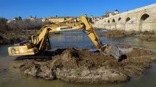 Medio Ambiente retira el islote tras limpiarlo de toallitas y reparte los sedimentos por los Sotos de la Albolafia