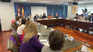 Reunión de las unidadades de coordinación de violencia sobre la mujer