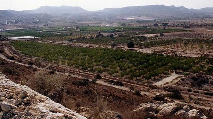 Zona en la que se proyecta desde el año 2000 instalar un nuevo parque industrial para dar servicio a Elche y al sur de la provincia.