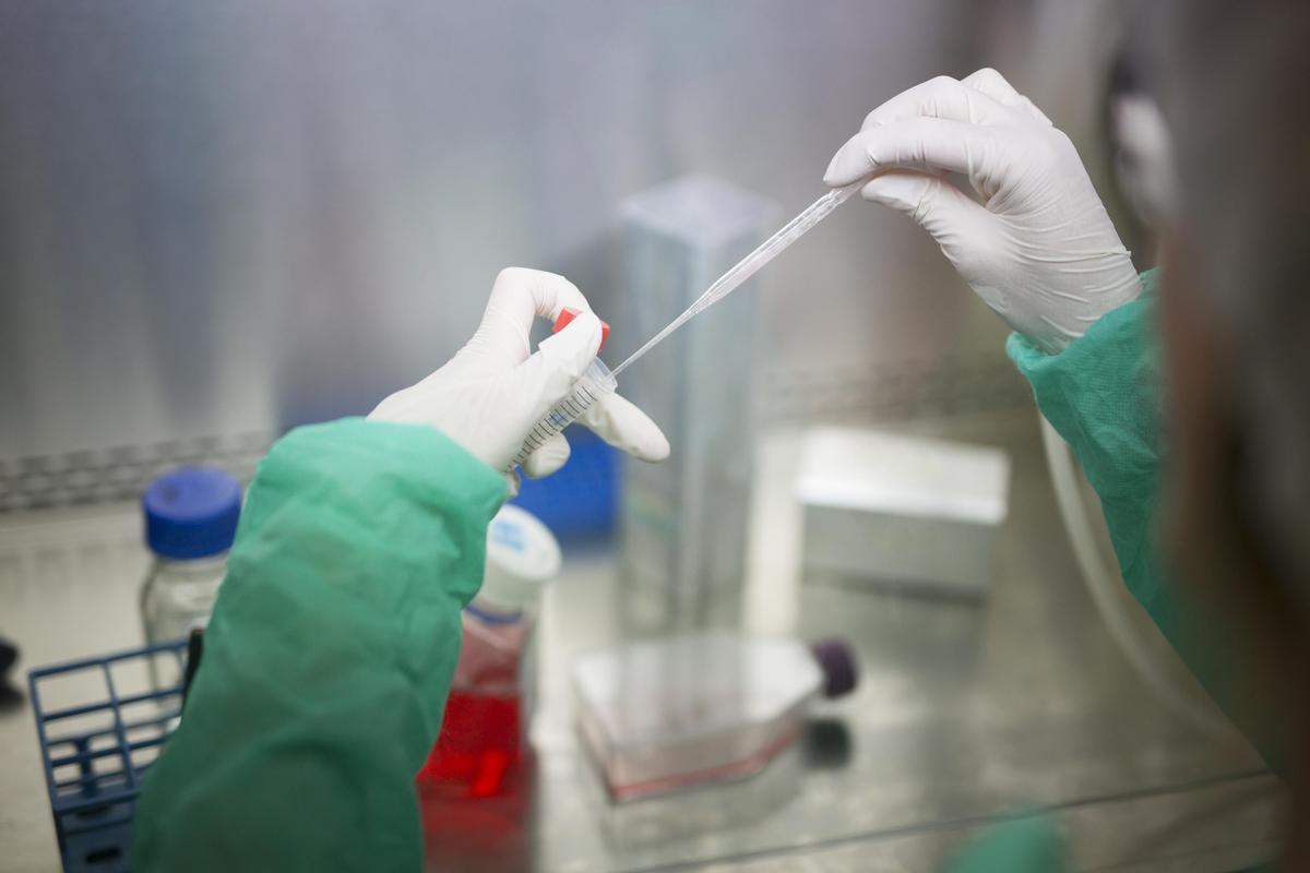 Imagen del laboratorio del IRB Barcelona, que ha participado en el descubrimiento de un fármaco dirigido a células madres cancerosas de tumores sólidos.