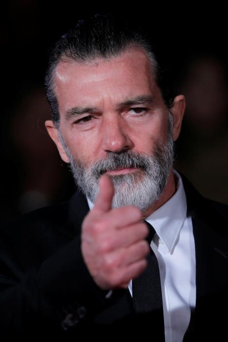 Antonio Banderas, Biznaga de Oro honorífica del Festival de Málaga