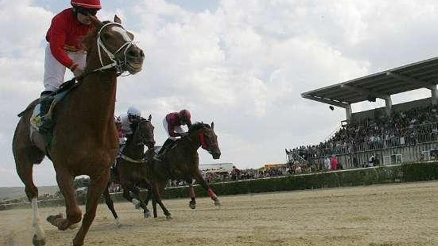 Una de las carreras celebradas en el hipódromo de Antela. // I.O.