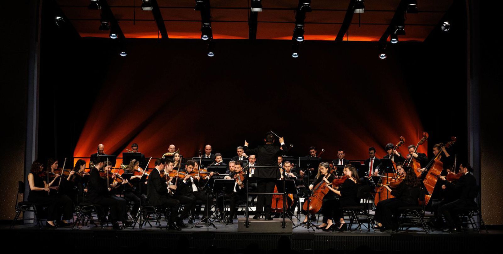 Vielseitig und hochtalentiert: das Orquestra de Cambra de Mallorca, das mallorquinische Kammerorchester.
