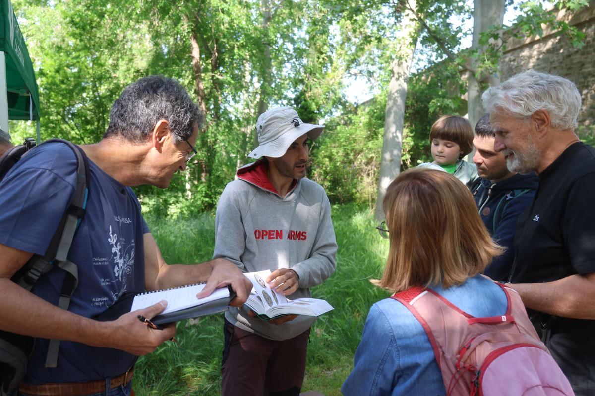 Unes 85 perosnes aficionades a la natura han participat al Bioblitz