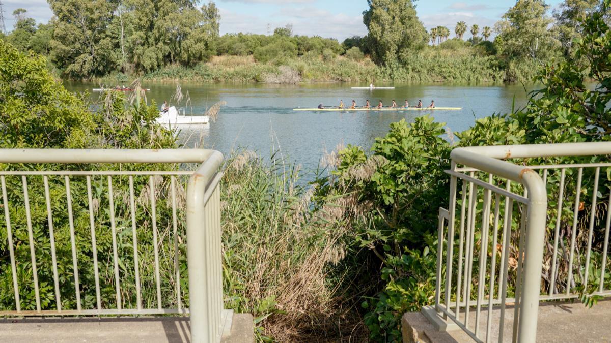 El río Guadalquivir se tiñe de luto