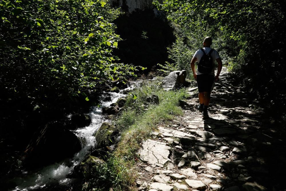 Rutas por Asturias: El Pino (Aller)