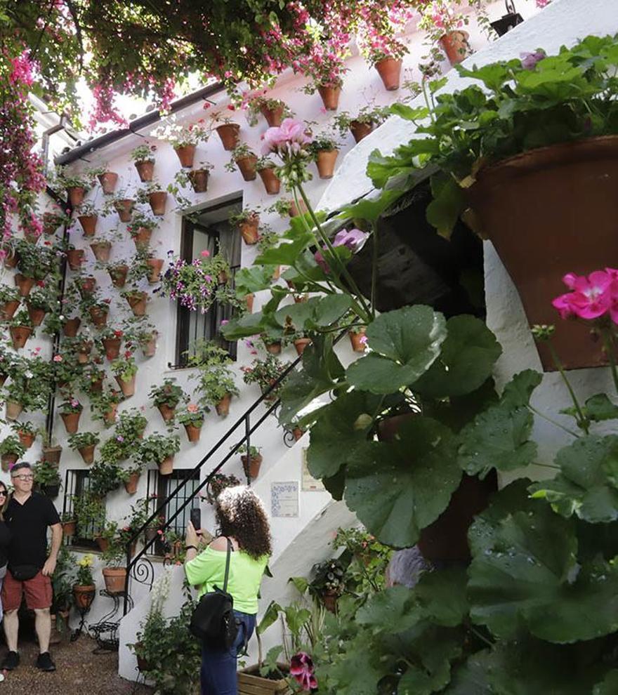 Estos son los 23 recintos de arquitectura antigua que participan en el Concurso de Patios de Córdoba