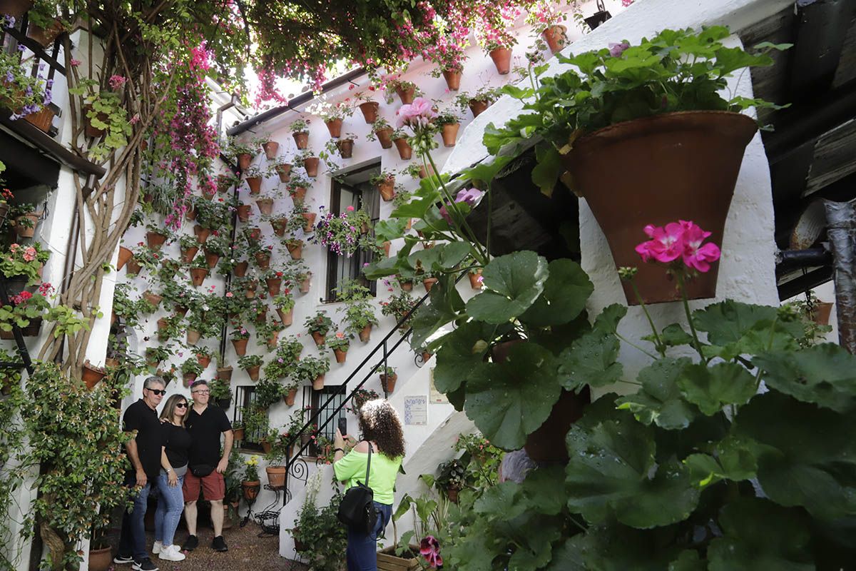 5º Antigua Martín de Roa 7