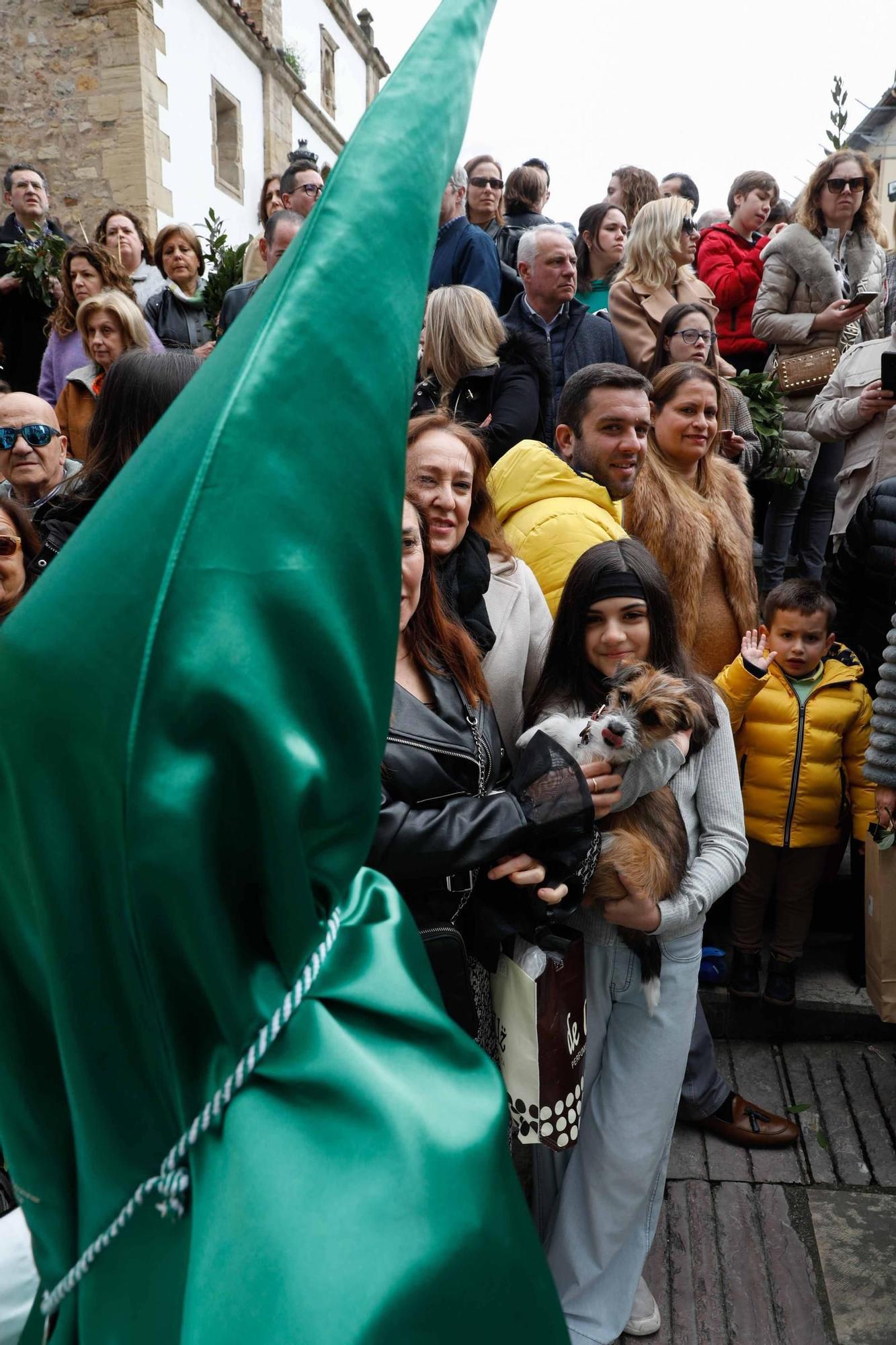 Multitudinaria bendición de ramos y procesión de La Borriquilla en Avilés