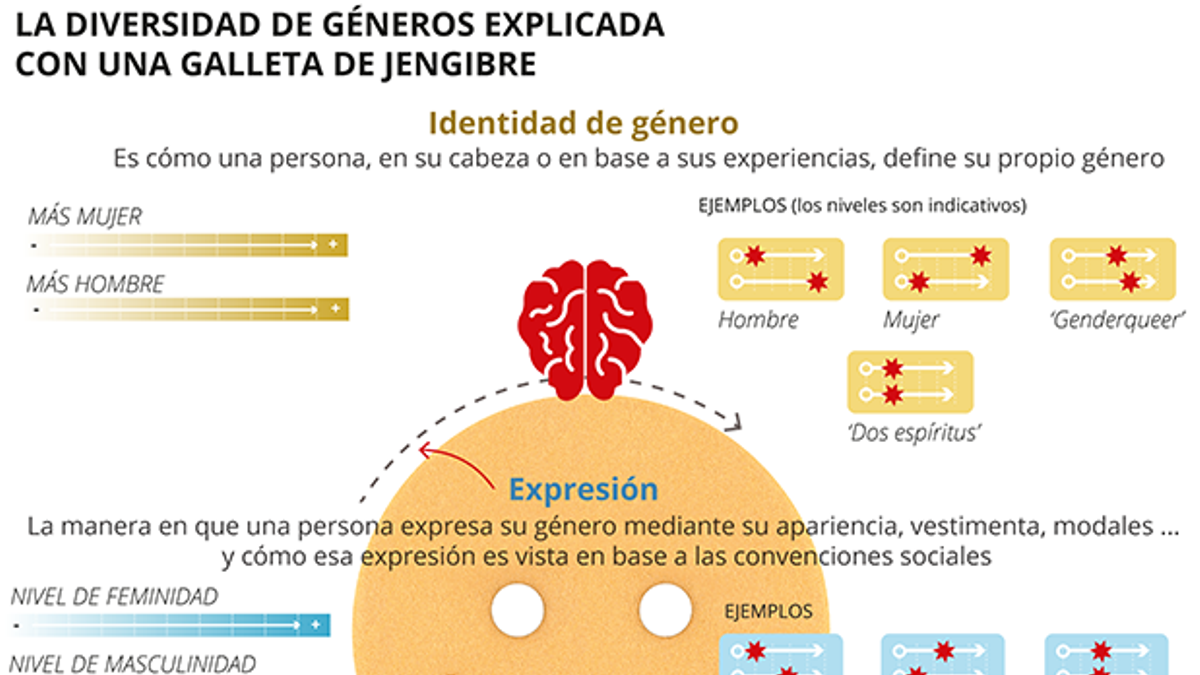 generos-sexo-identidad-hombre-mujer-galleta-jengibre