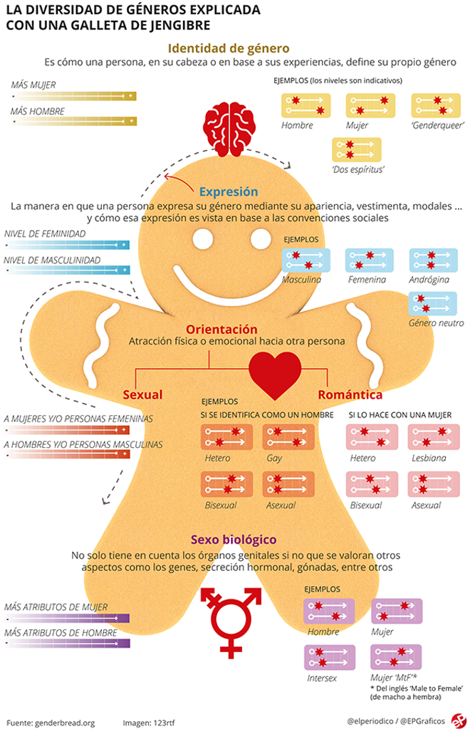 generos-sexo-identidad-hombre-mujer-galleta-jengibre