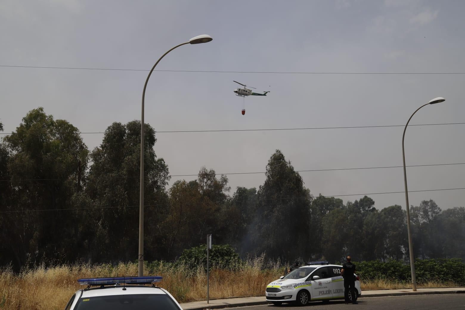 Un incendio de pastos junto al Parque Joyero moviliza a bomberos, Infoca y Policía Local