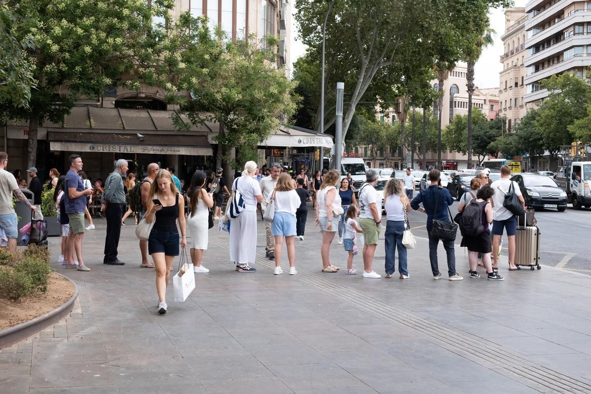 Las fotos del colapso en Palma que ha suturado calles, aparcamientos, buses y servicio de taxi