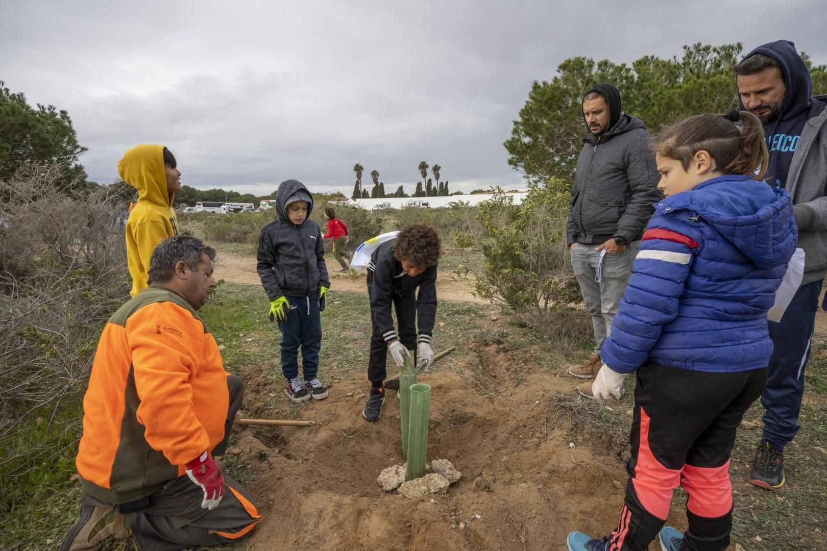 Jornada escolar plantación de especies autóctonas junto al parque natural de las lagunas de Torrevieja y La Mata