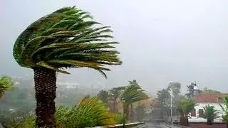 Registradas decenas de incidencias en Sevilla por el viento