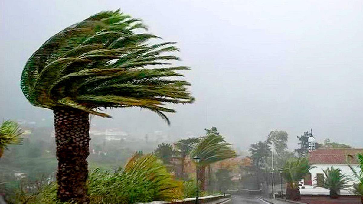 El viento provoca varias incidencias en la capital hispalense