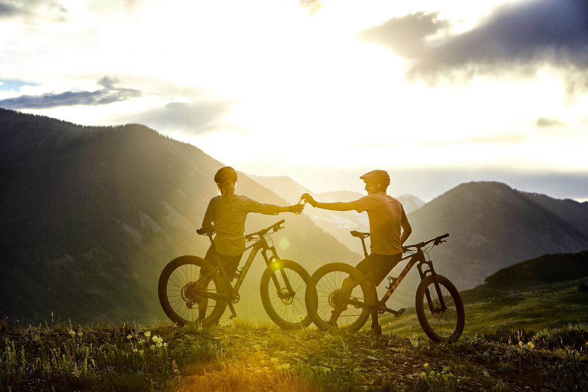 electric bicycle malaysia Step Thru