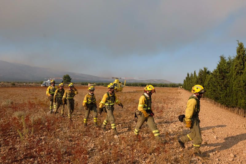 Declarado un incendio en una zona de barranco de Beneixama