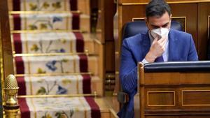 Pedro Sánchez, en el Congreso.